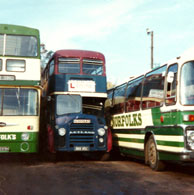 Norfolk's Buses