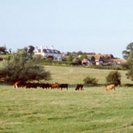 Rushbanks Farm