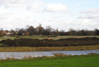 Meadow February 2005