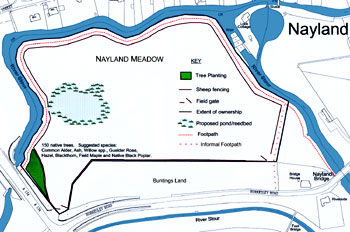 Meadow Plan