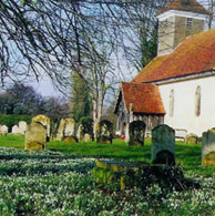 Snowdrops at St Mary's