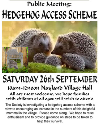 Hedgehog Meeting