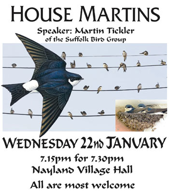 House Martins